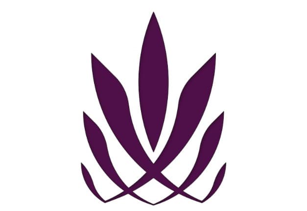 builder logo